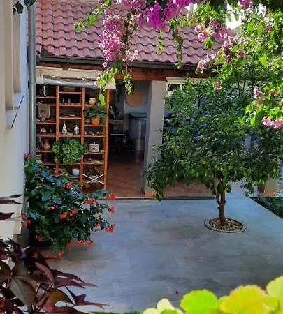 Apartments Luky Zadar Exterior photo
